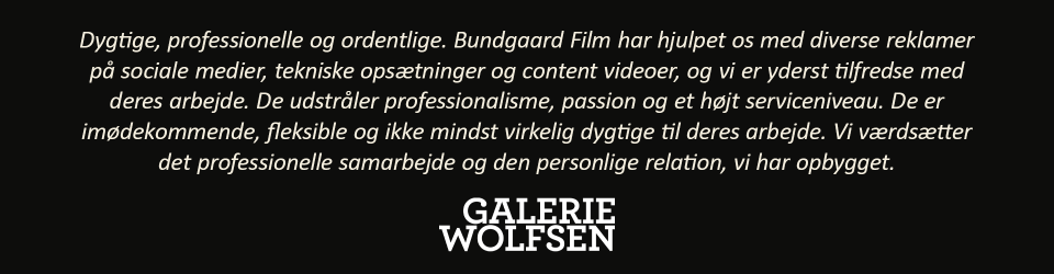 Galerie Wolfsen Udtalelse
